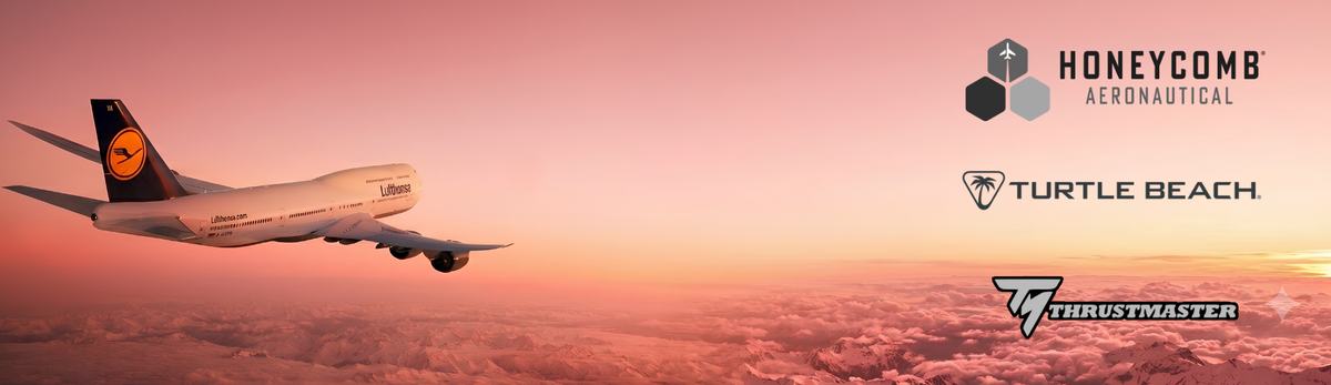 Flight Simulation