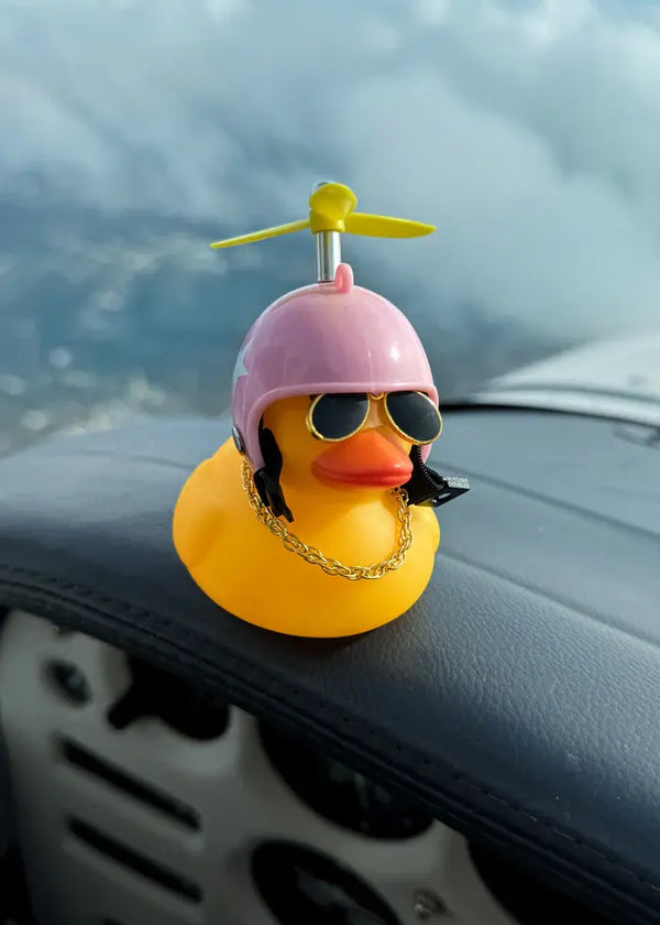 Aviator Duck