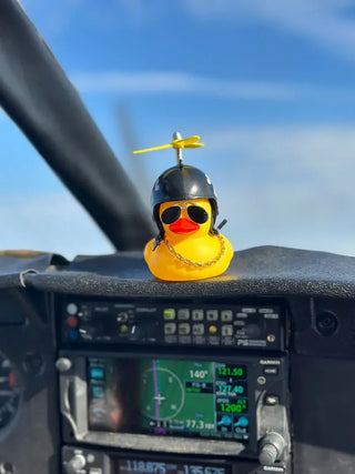 Aviator Duck