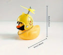 Aviator Duck