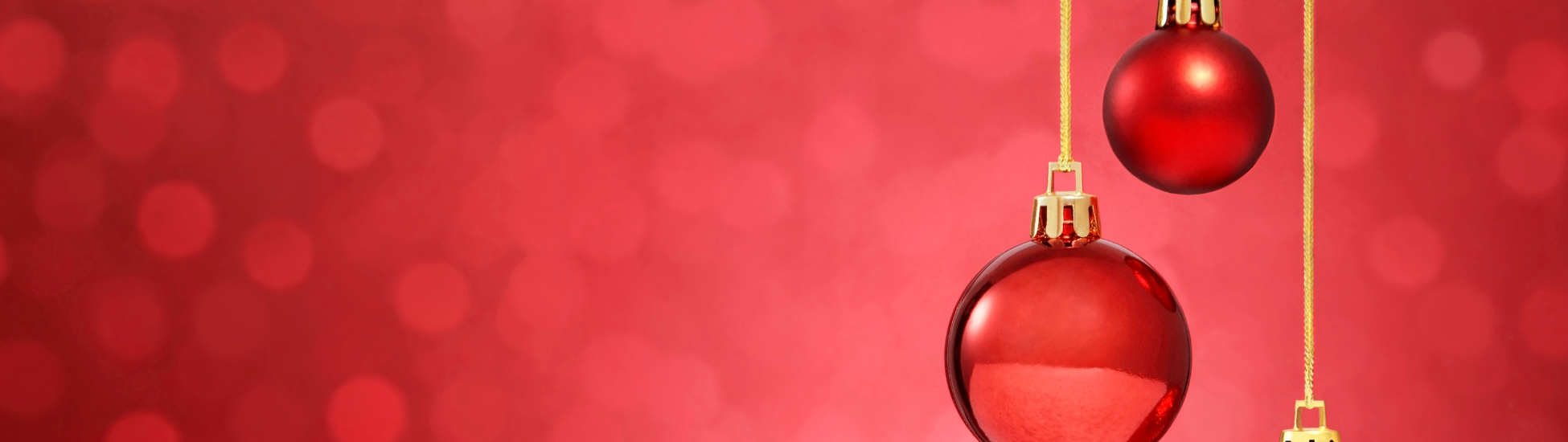 Christmas Gift Guide