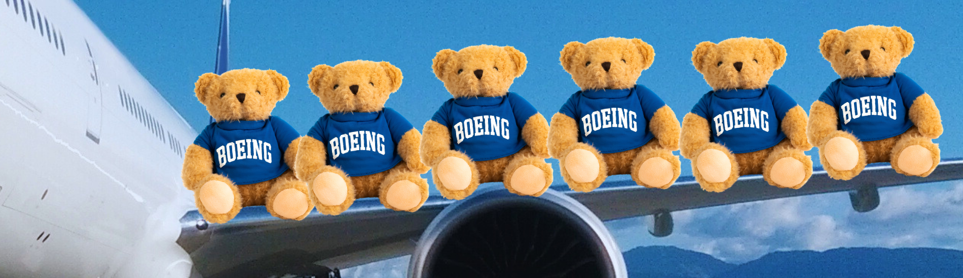 Boeing Varsity Bear