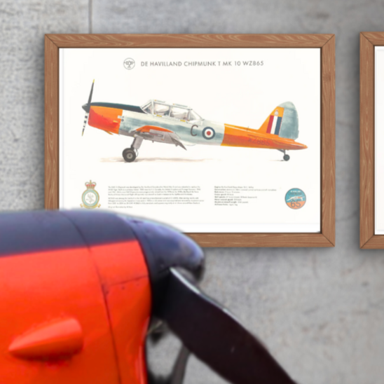 Chipmunk 65 - A3 Coloured Print Posters by Chipmunk 65 | Downunder Pilot Shop