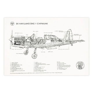 Chipmunk 65 - A3 Technical Drawing Posters by Chipmunk 65 | Downunder Pilot Shop