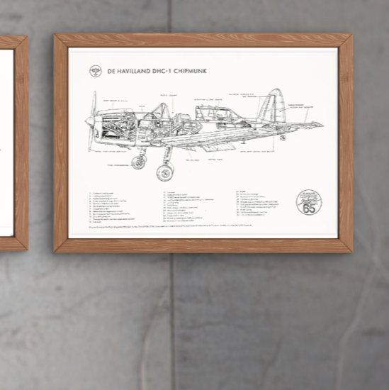 Chipmunk 65 - A3 Technical Drawing Posters by Chipmunk 65 | Downunder Pilot Shop