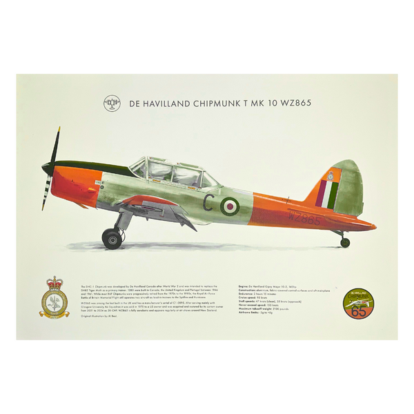 Chipmunk 65 - A3 Coloured Print