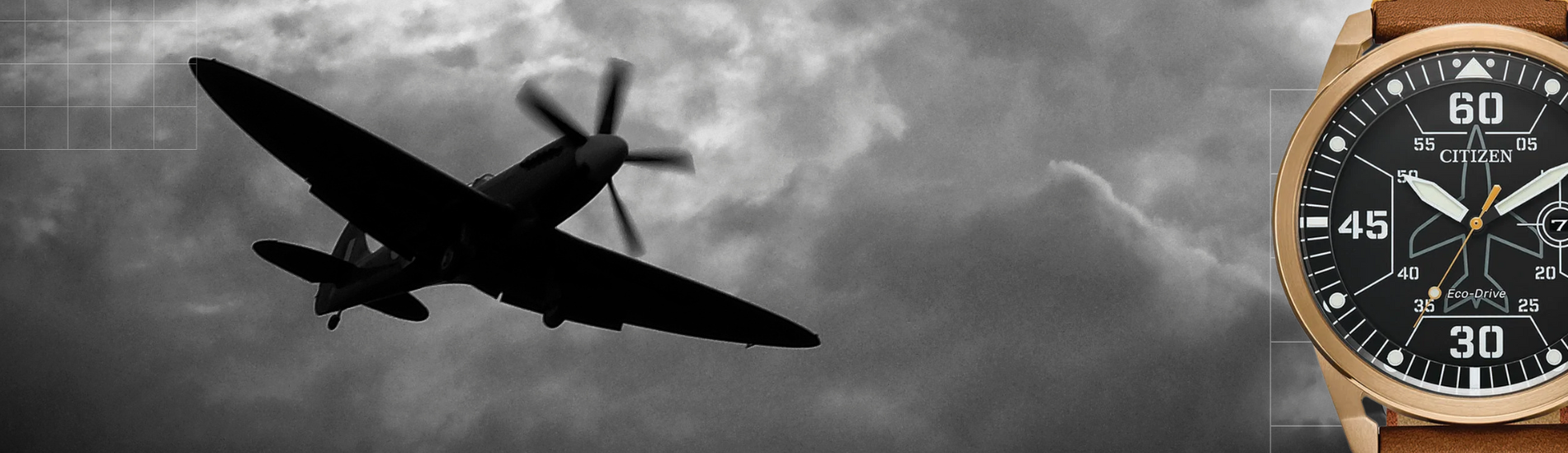 Citizen eco sales drive flight watch