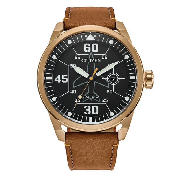 Citizen eco drive aviation watch best sale