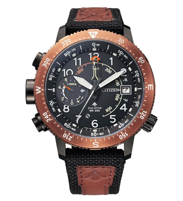 Citizen eco drive compass watch sale