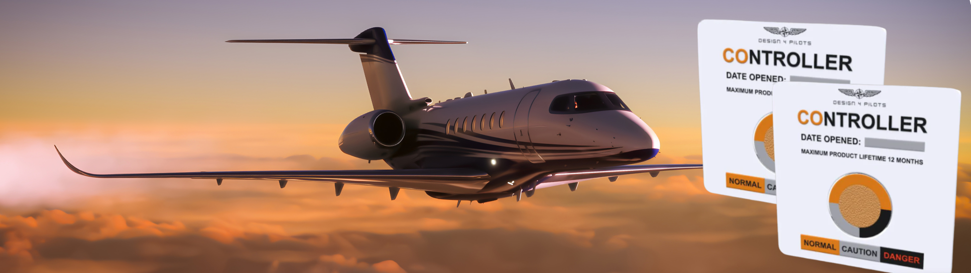 Design 4 Pilots - Pilot Controller CO Detector