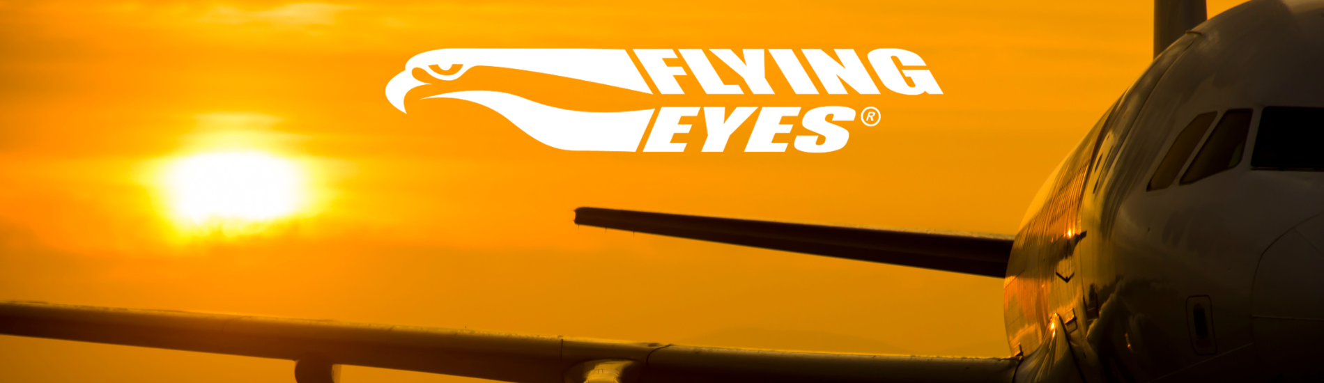 Águila pescadora con ojos voladores: con opciones