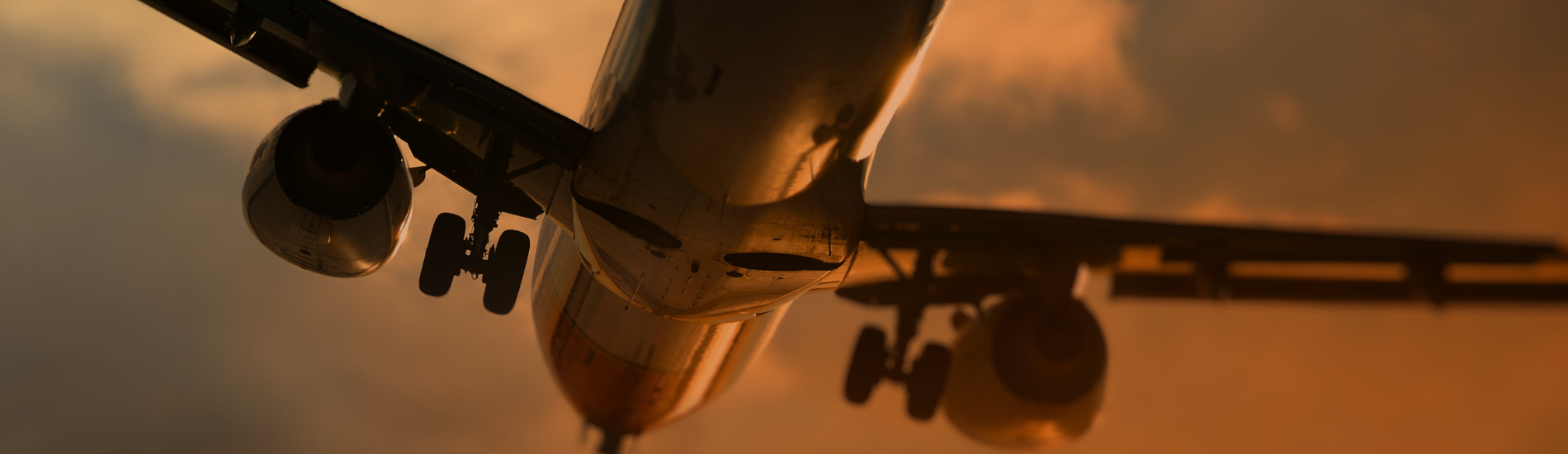 Just Landed