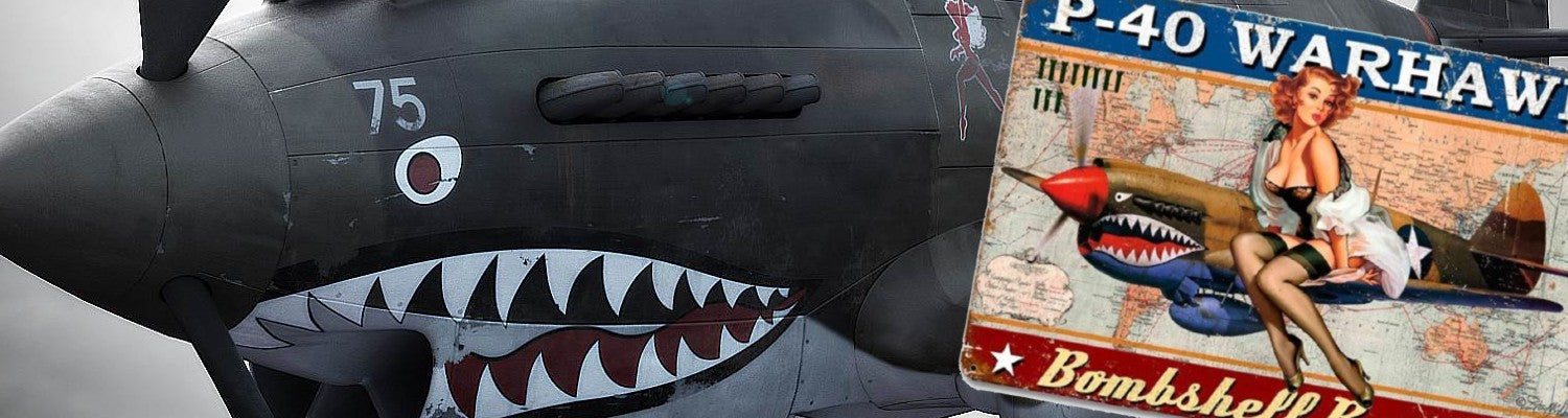 P-40 Warhawk Bombshell - Signe en étain