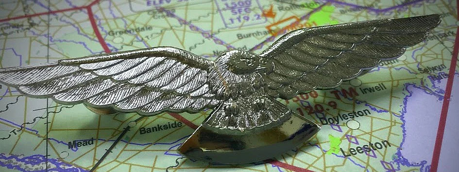 Eagle Wings Silver