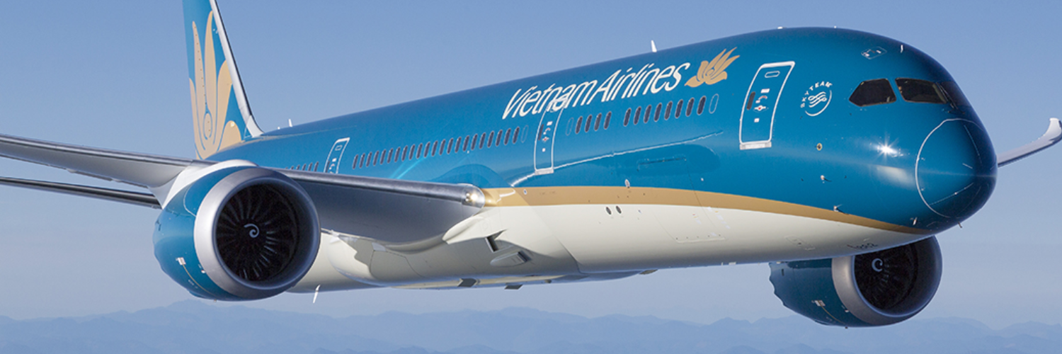 Planetag Vietnam Airlines Airbus A321-200 Tail VN-A347