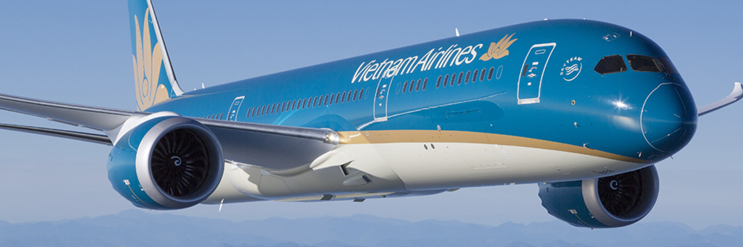 Planetag Vietnam Airlines Airbus A321-200 Queue VN-A347 | Pilot Shop